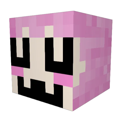 DirtyNi99A Minecraft avatar head, 3D render