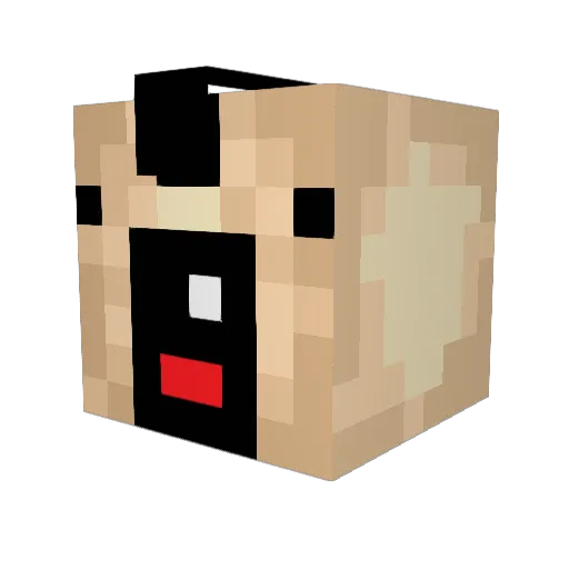 DirtyRag97 Minecraft avatar head, 3D render