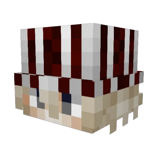 DisAraIn Minecraft avatar head, 3D render