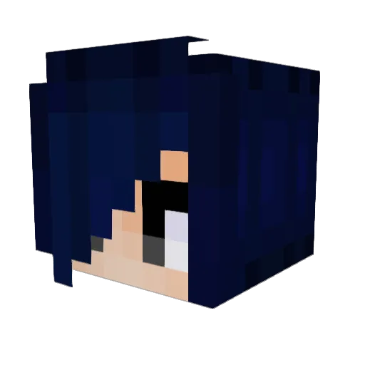 DisNewbie Minecraft avatar head, 3D render