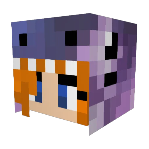 DisTingH Minecraft avatar head, 3D render