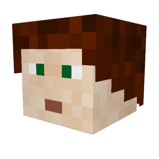 DisTricTX60 Minecraft avatar head, 3D render