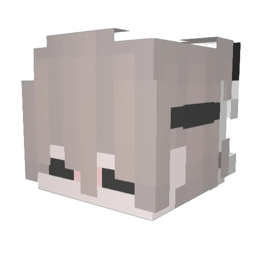 DisaWillliams Minecraft avatar head, 3D render