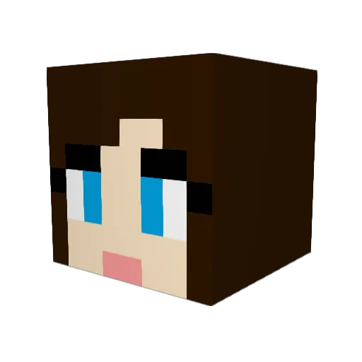 DisablingOrchid Minecraft avatar head, 3D render