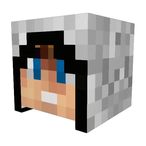 Disallusion Minecraft avatar head, 3D render