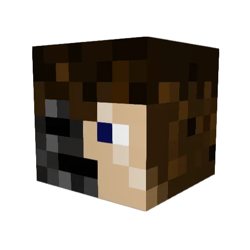 DisapointedTURTL Minecraft avatar head, 3D render