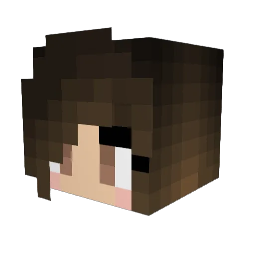 DisappearingAdy Minecraft avatar head, 3D render