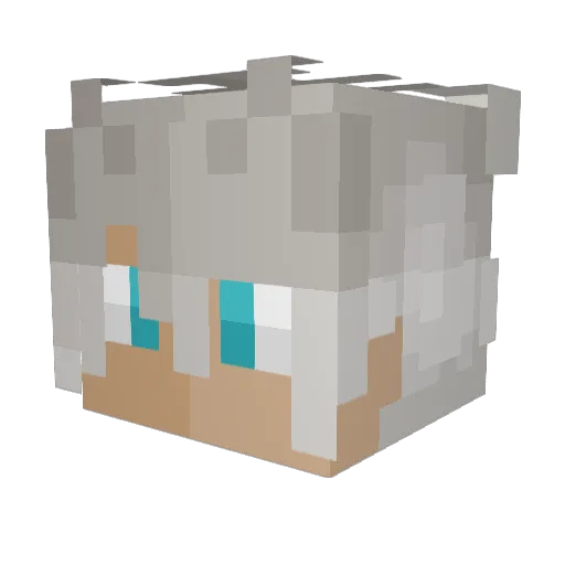 DisasterRaynen Minecraft avatar head, 3D render