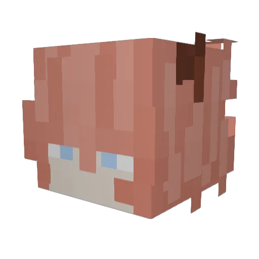 Disasterology1 Minecraft avatar head, 3D render
