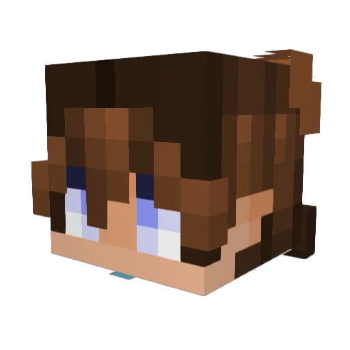 Disayser Minecraft avatar head, 3D render