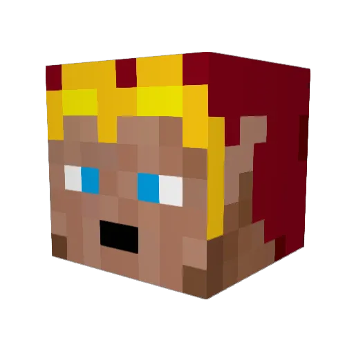 Disbelieved Minecraft avatar head, 3D render