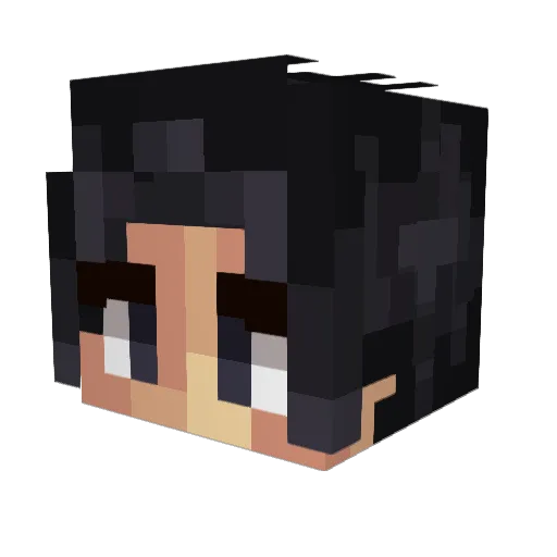 Discdore Minecraft avatar head, 3D render