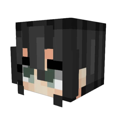 Discipliner Minecraft avatar head, 3D render