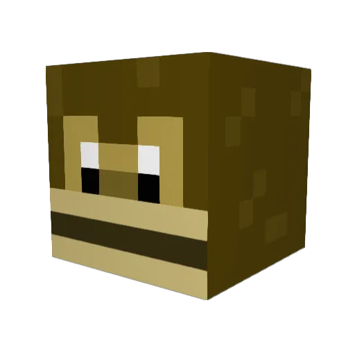 DiscoBabs Minecraft avatar head, 3D render