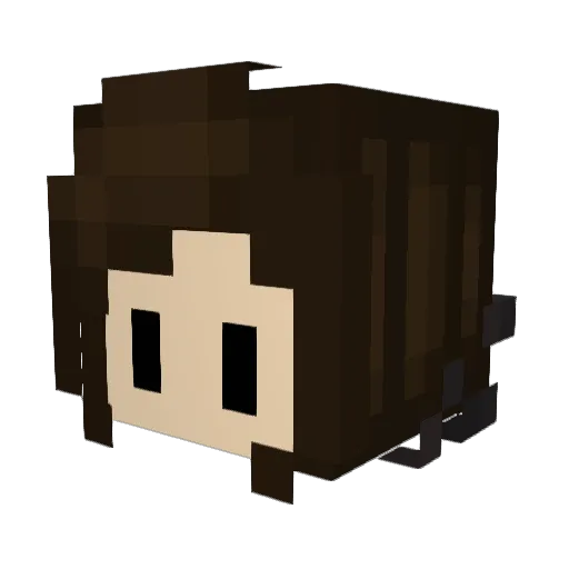 DiscoGreninja Minecraft avatar head, 3D render