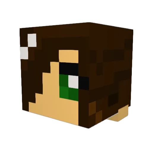 DiscoRice Minecraft avatar head, 3D render