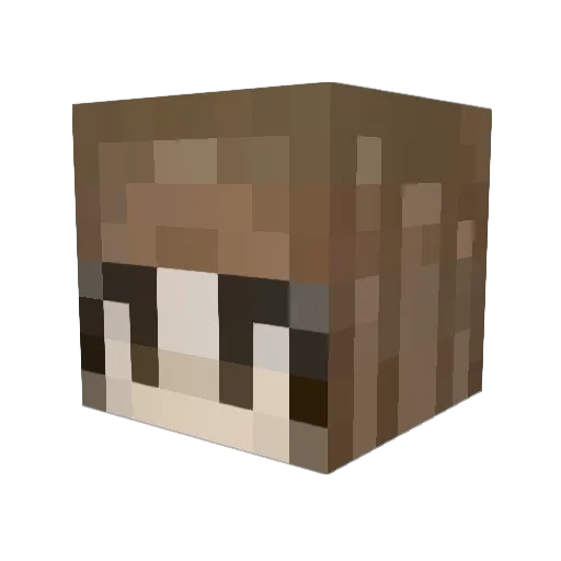 DiscoWings0708 Minecraft avatar head, 3D render