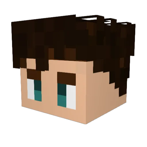 Disco_Pigg Minecraft avatar head, 3D render