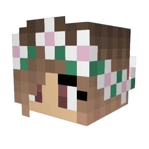 Disco_Schaap Minecraft avatar head, 3D render