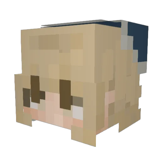 Disco_Sockman Minecraft avatar head, 3D render