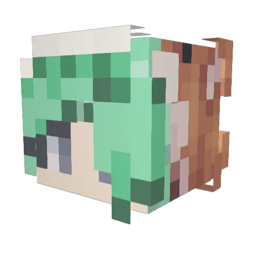 Discodzy Minecraft avatar head, 3D render