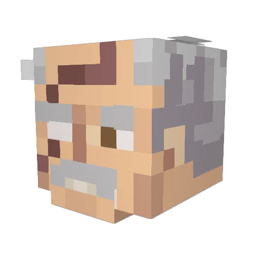 DiscordMeltz Minecraft avatar head, 3D render