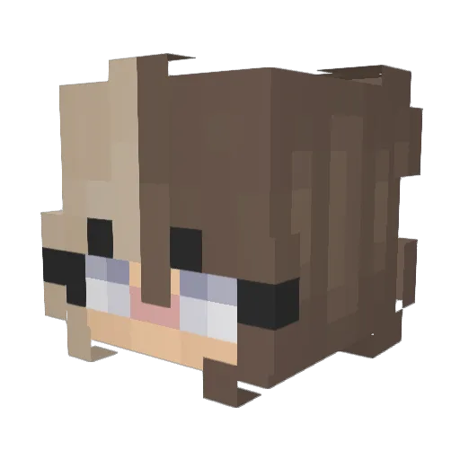 Discordiaa_ Minecraft avatar head, 3D render