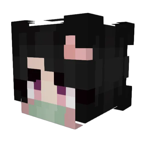 DiscountLSD Minecraft avatar head, 3D render