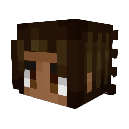 Discount_Compass Minecraft avatar head, 3D render