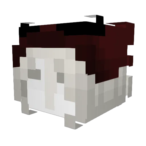 Discra Minecraft avatar head, 3D render