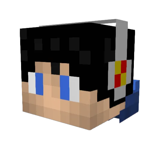 DiseaseMe Minecraft avatar head, 3D render