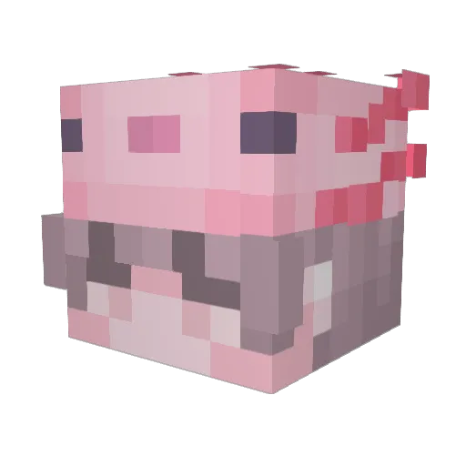 Disected Minecraft avatar head, 3D render