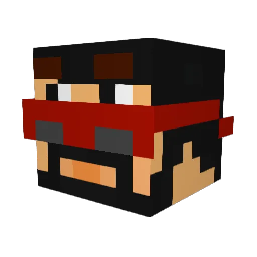 Disenfranchised Minecraft avatar head, 3D render