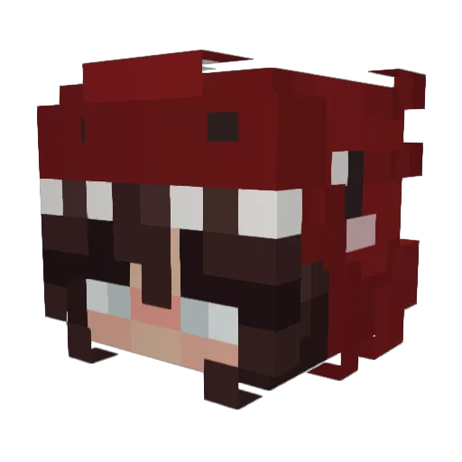 Diserek11 Minecraft avatar head, 3D render