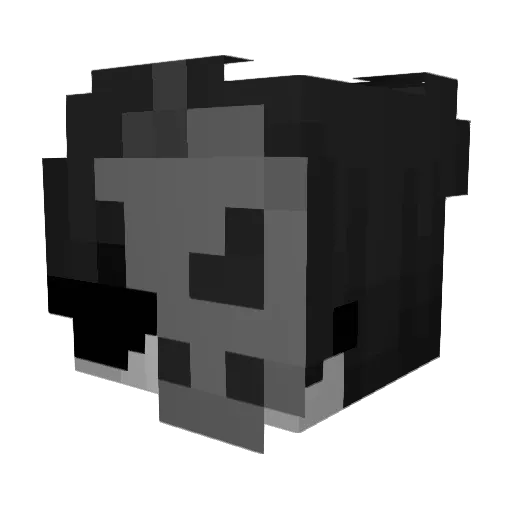 Disfunctionalguy Minecraft avatar head, 3D render