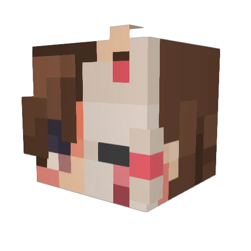 Disgraft Minecraft avatar head, 3D render