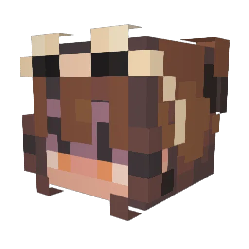 DisguisedMonkey Minecraft avatar head, 3D render