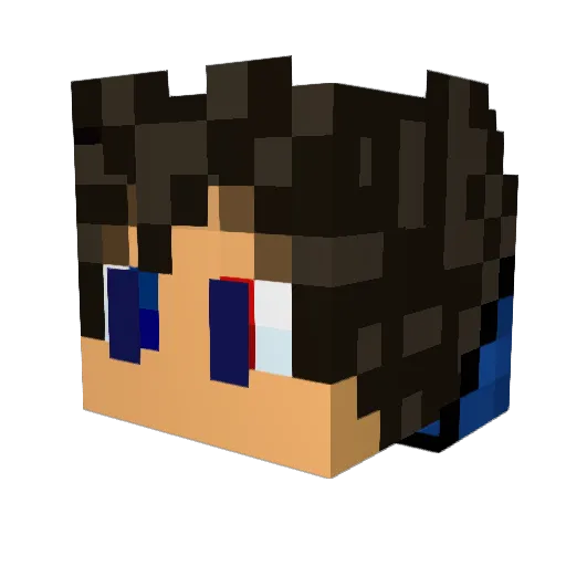 Disguised_Rain Minecraft avatar head, 3D render
