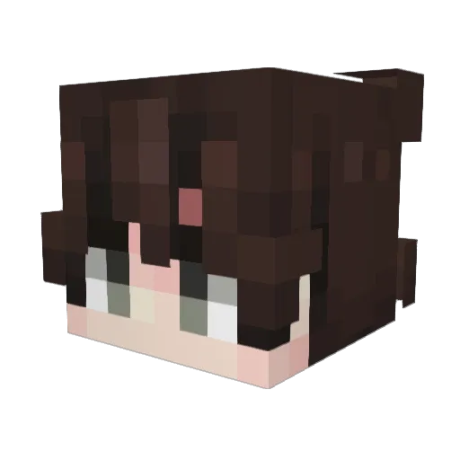 Disguste Minecraft avatar head, 3D render