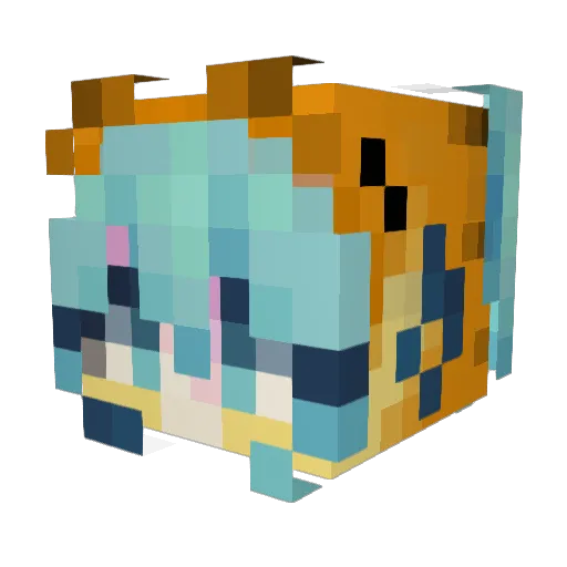 DishNetworkJoel Minecraft avatar head, 3D render
