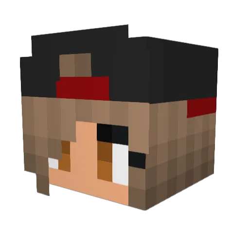 Dishwasher_6969 Minecraft avatar head, 3D render