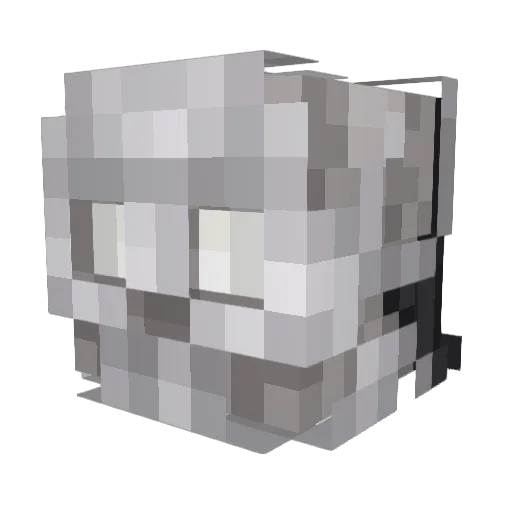Disko_00 Minecraft avatar head, 3D render