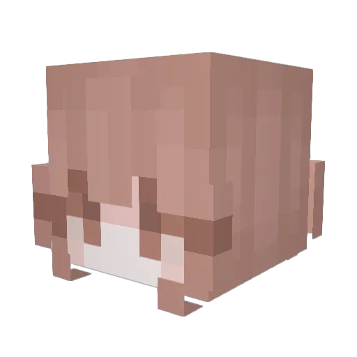 Dislexica_ Minecraft avatar head, 3D render