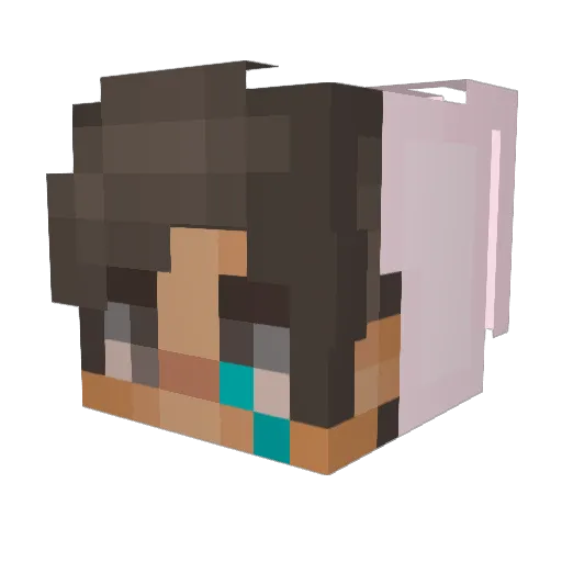 Disliked Minecraft avatar head, 3D render