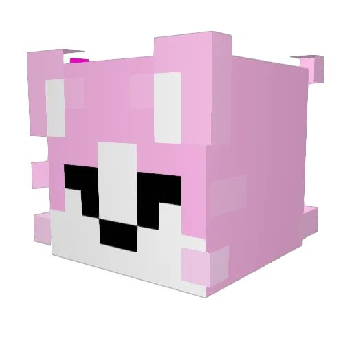 DismalBowl65423 Minecraft avatar head, 3D render