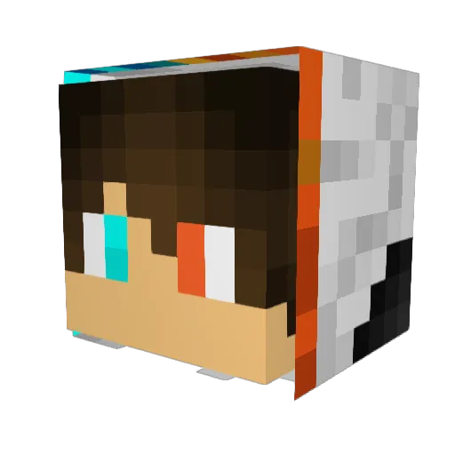 DismalPilot Minecraft avatar head, 3D render