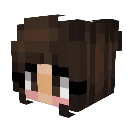 DisneyLove1995 Minecraft avatar head, 3D render
