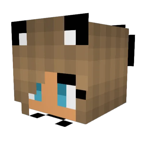 DisneyNerd7745 Minecraft avatar head, 3D render
