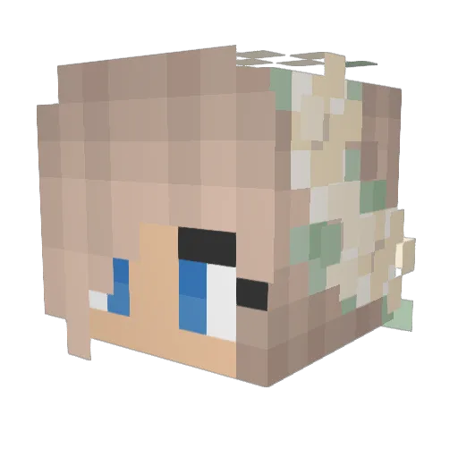 Disney_Girl21 Minecraft avatar head, 3D render