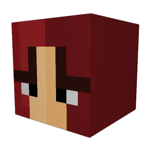 Disney_lover03 Minecraft avatar head, 3D render